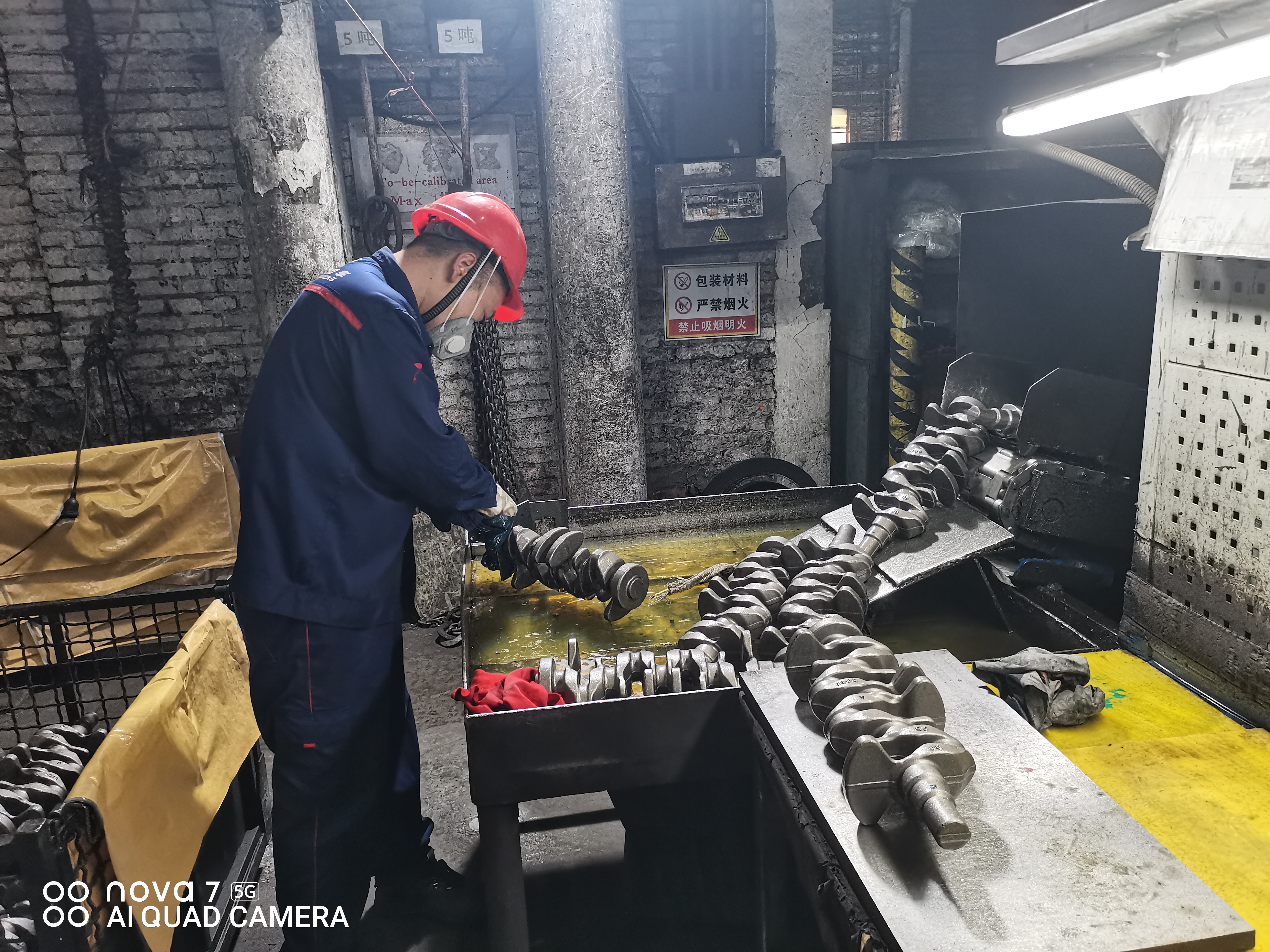 IMG_20250802_102913.jpg IMG_20250802_102913.jpg